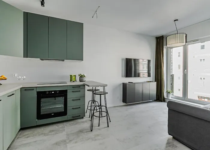 Urban Apartment Deluxe Kamienica Nova 3